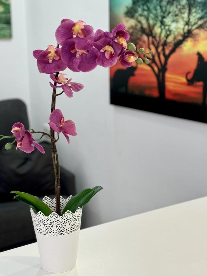 San Eugenio Charming Renovated Apartment Tenerife Costa Adeje  Exteriör bild