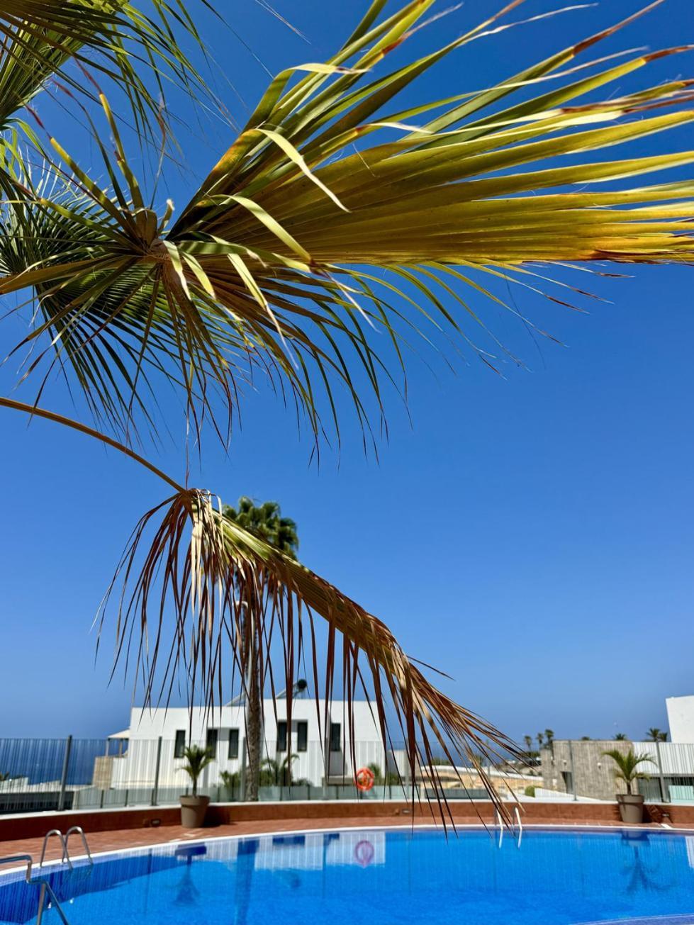 San Eugenio Charming Renovated Apartment Tenerife Costa Adeje  Exteriör bild