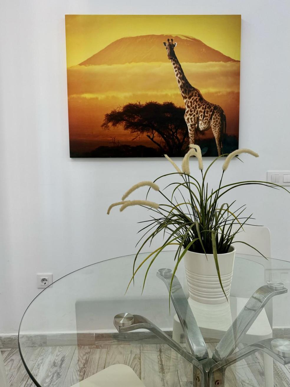 San Eugenio Charming Renovated Apartment Tenerife Costa Adeje  Exteriör bild