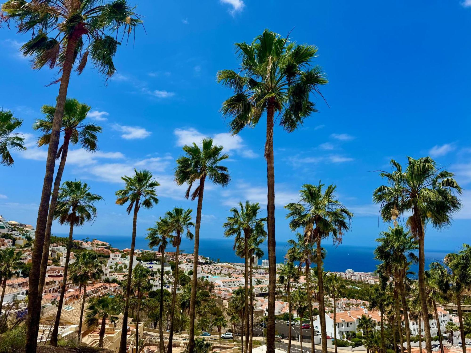 San Eugenio Charming Renovated Apartment Tenerife Costa Adeje  Exteriör bild