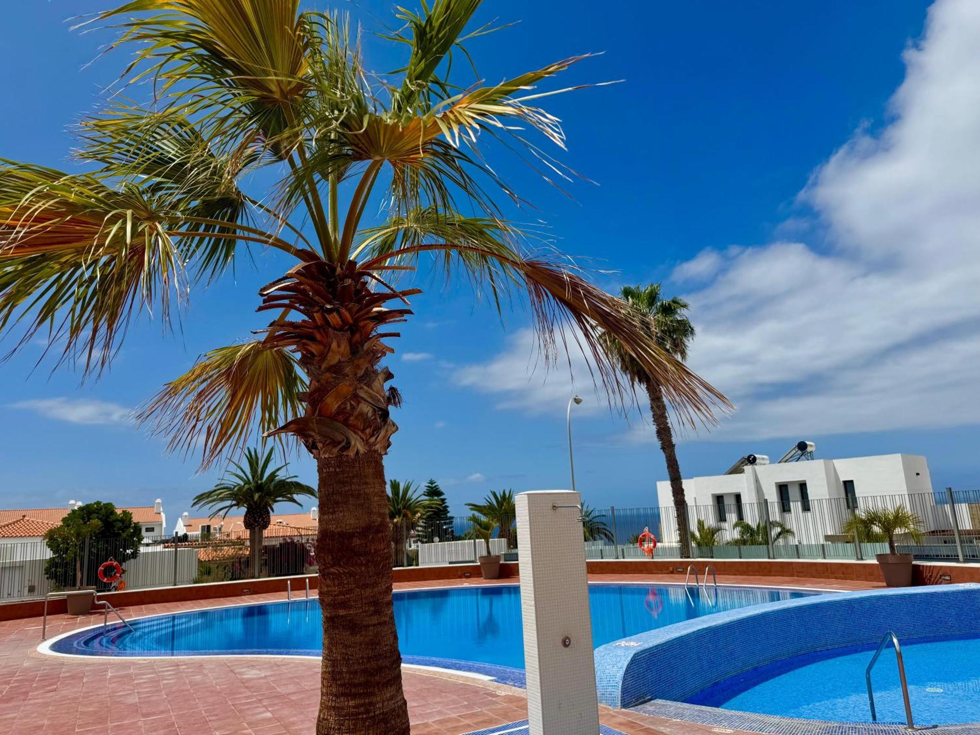 San Eugenio Charming Renovated Apartment Tenerife Costa Adeje  Exteriör bild