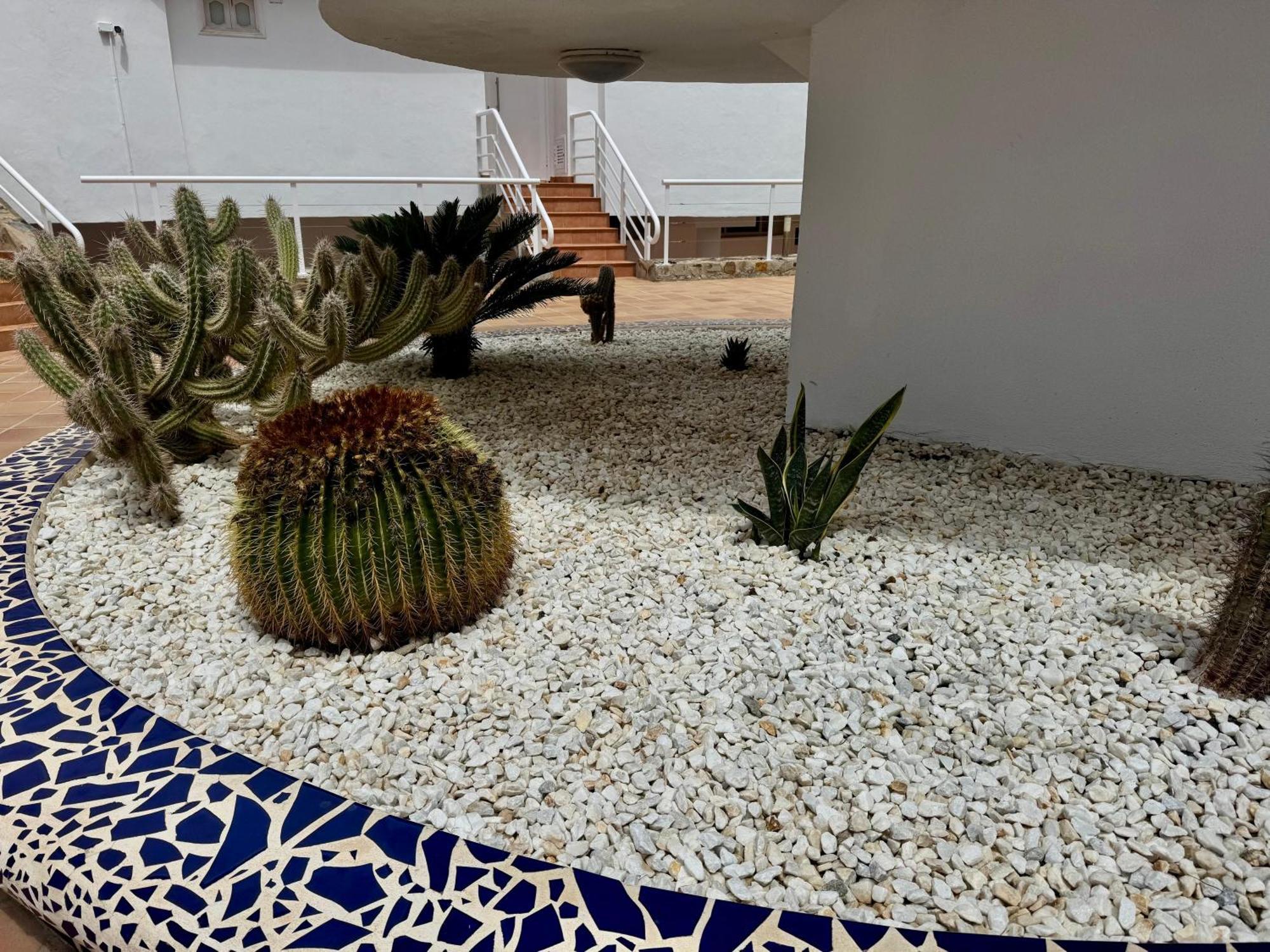 San Eugenio Charming Renovated Apartment Tenerife Costa Adeje  Exteriör bild